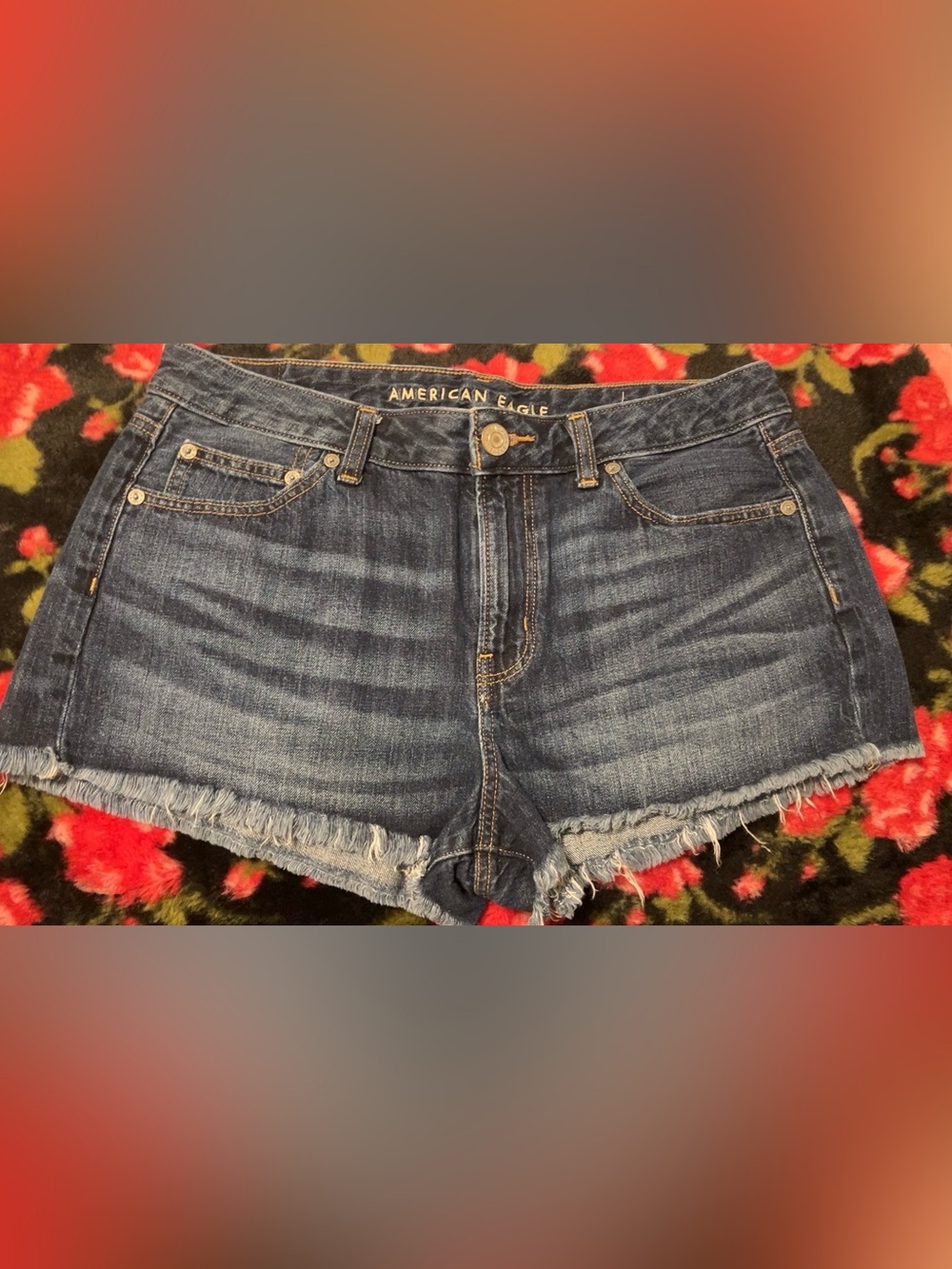 EUC American Eagle TomGirl Shortie sz 10